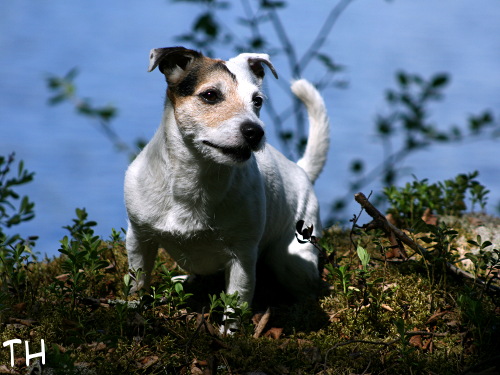 090628 eppu2.JPG - Hepuli Epuli